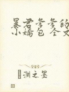 暴君爹爹的团宠小娇包 全文阅读