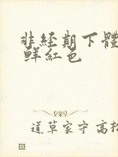 非经期下体出血 鲜红色