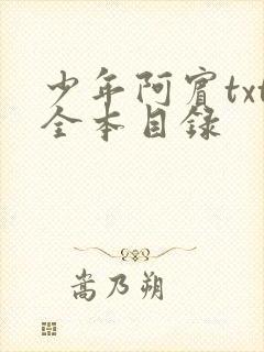 少年阿宾txt全本目录