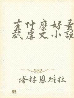 有什么好看的总裁虐文小说推荐