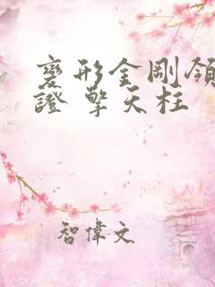 变形金刚领袖之证 擎天柱