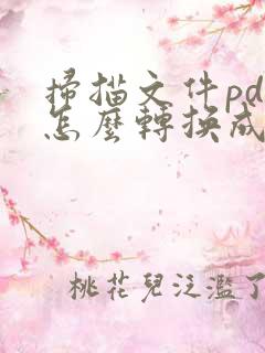 扫描文件pdf怎么转换成word