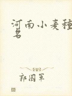 河南小麦种子排名