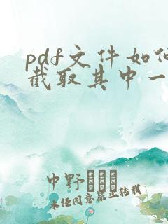 pdf文件如何截取其中一页