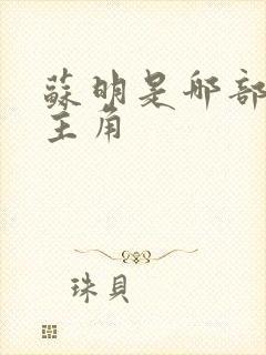 苏明是哪部小说主角
