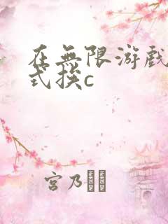 在无限游戏里花式挨c