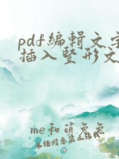 pdf编辑文字插入竖形文本