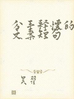 分手释怀的高级文案短句