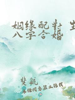 姻缘配对 生辰八字合婚