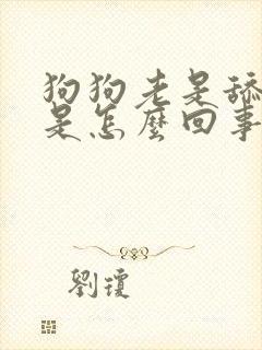 狗狗老是舔爪子是怎么回事