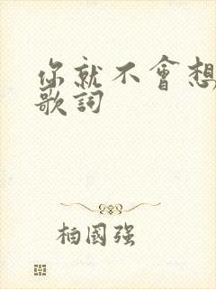 你就不会想起我歌词