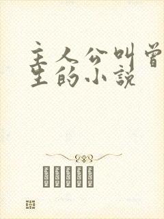主人公叫曾毅医生的小说