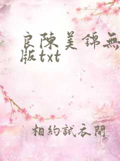 良陈美锦无删减版txt