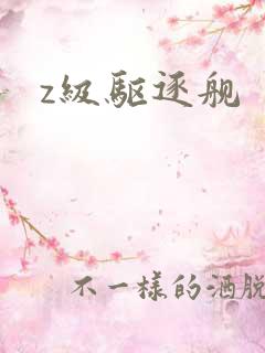 z级驱逐舰