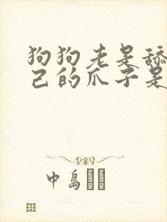 狗狗老是舔咬自己的爪子是怎么回事