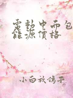 电动中面包车新能源价格