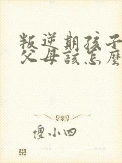 叛逆期孩子打骂父母该怎么引导