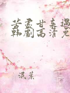 苦尽甘来遇见你韩剧高清免费观看