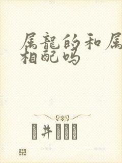 属龙的和属鼠的相配吗