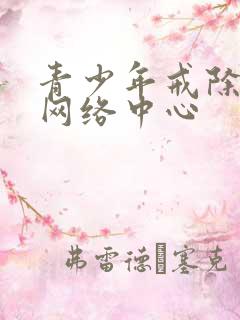 青少年戒除沉迷网络中心