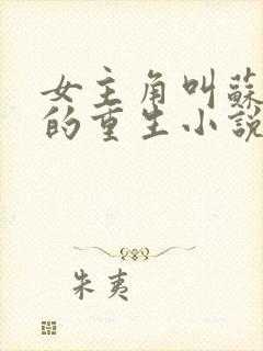 女主角叫苏落落的重生小说名字
