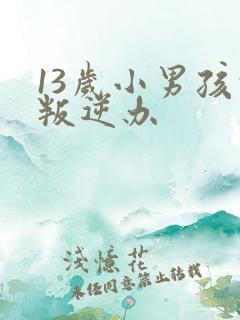 13岁小男孩的叛逆办