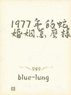 1977年的蛇婚姻怎么样今年