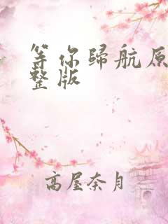 等你归航原唱完整版