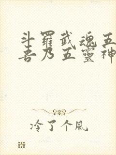 斗罗武魂五灵锁吾乃五灵神王免费阅读