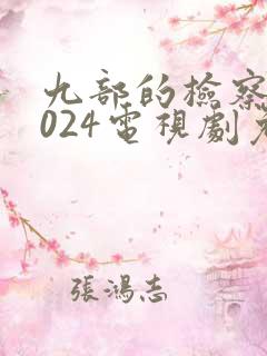 九部的检察官2024电视剧免费观看