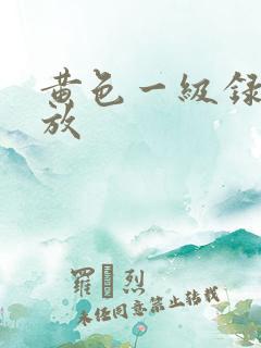 黄色一级录像播放