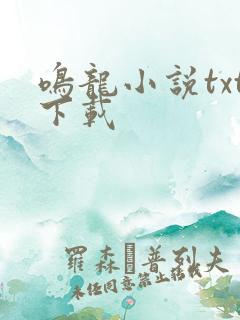 鸣龙小说txt下载