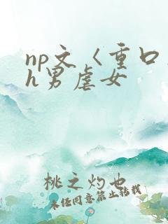 np文〈重口〉h男虐女