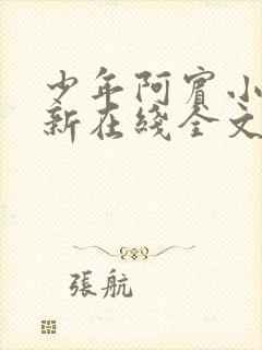 少年阿宾小说最新在线全文阅读