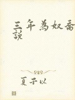 三年为奴乔念小说