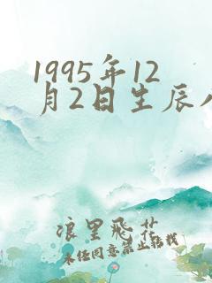 1995年12月2日生辰八字