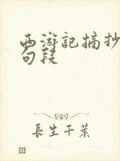 西游记摘抄精彩句段