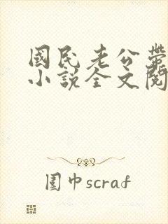 国民老公带回家小说全文阅读