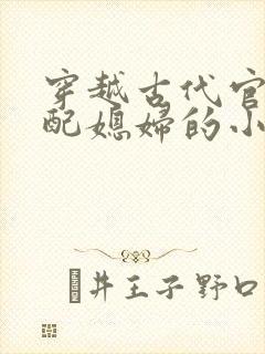 穿越古代官府分配媳妇的小说