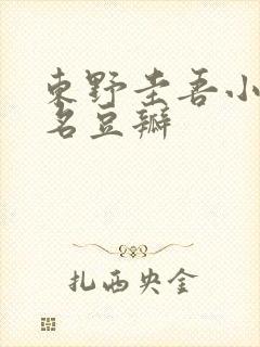 东野圭吾小说排名豆瓣