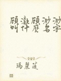 顾澈顾渺渺小说叫什么名字