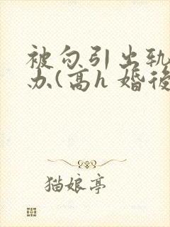被勾引出轨怎么办(高h 婚后np)