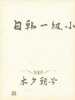 日韩一级小淫片