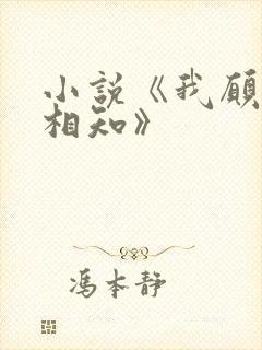 小说《我愿与君相知》