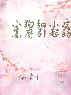 小狗细小病毒是怎么引起的原因