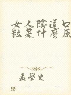 女人阴道口有肉粒是什么原因