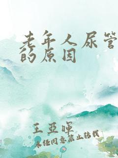 老年人尿管漏尿的原因