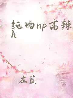 纯肉np高辣文h