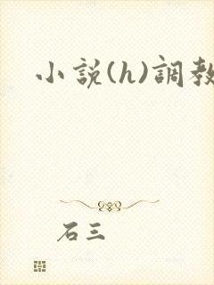 小说(h)调教