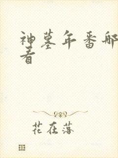 神墓年番哪里能看